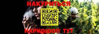 ALPHA PVP Бердск