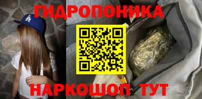 ALPHA PVP Бердск