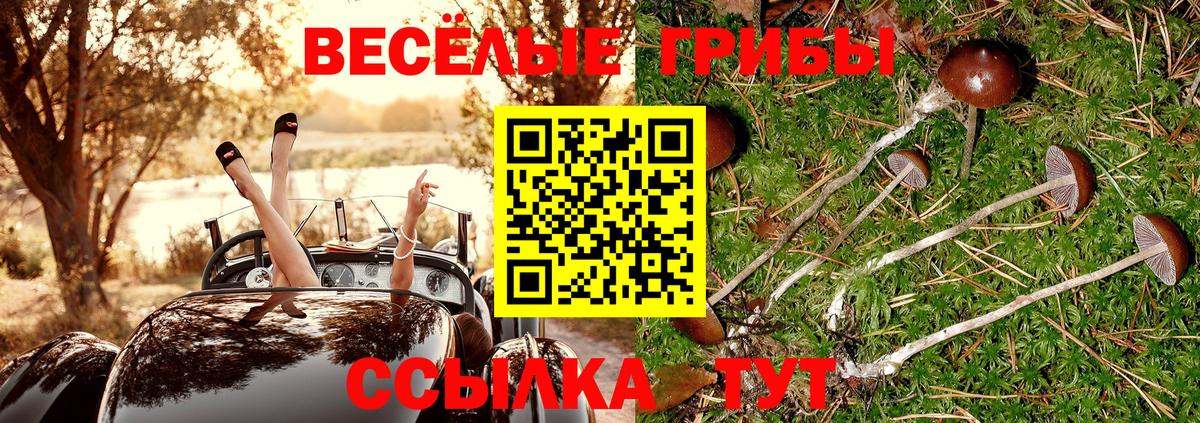 Галлюциногенные грибы прущие грибы Дзержинский